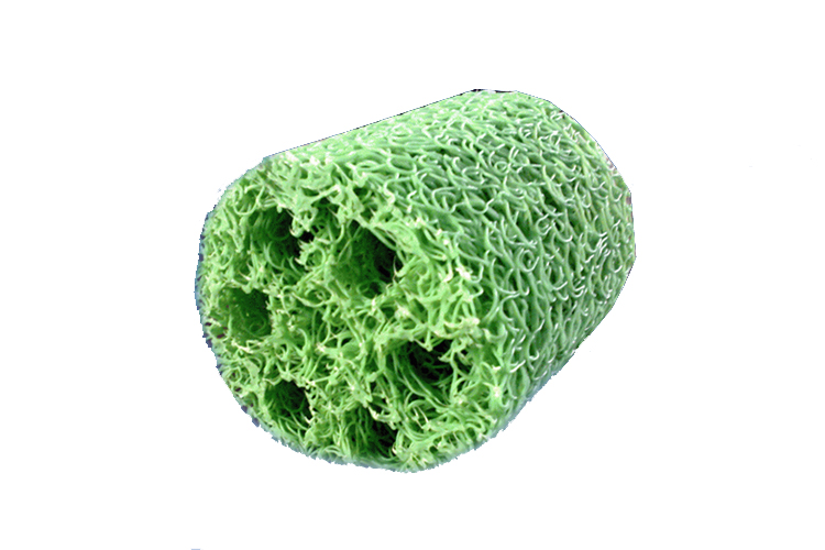 ����ä��